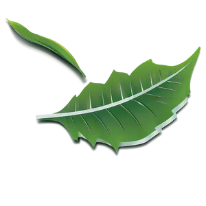 Leaf Vector PNG Nvf19 PNG