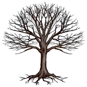 Leafless Tree Image Png 06282024 PNG image