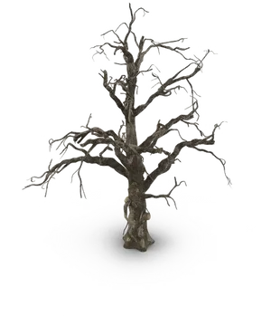 Leafless Treein Winter Snow PNG image