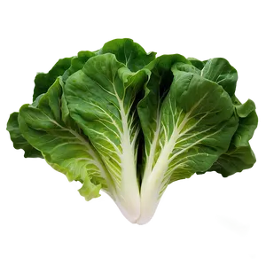 Leafy Green Lettuce Png Sgm PNG image