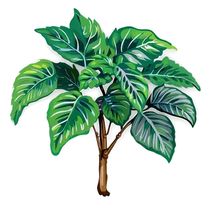 Leafy Plant PNG 05032024