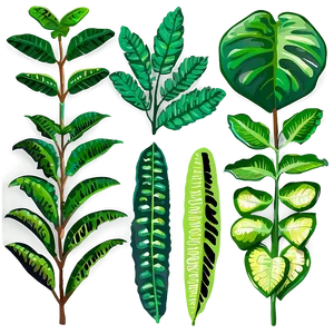 Leafy Plants PNG 05042024
