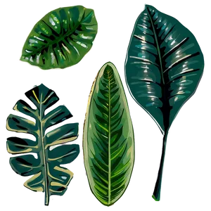 Leafy Plants PNG 61
