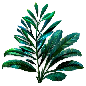 Leafy Plants PNG Nvq42