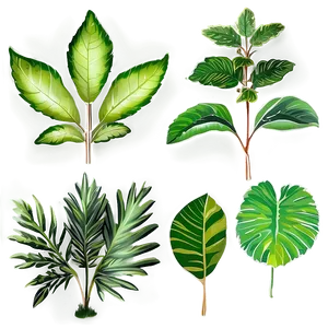 Leafy Plants Png Vnw PNG image