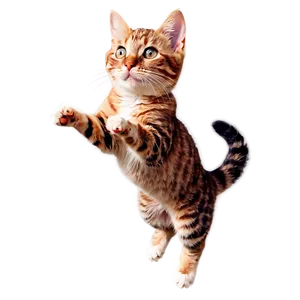 Leaping Cat Clipart PNG 06122024 PNG