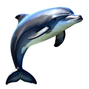 Leaping Dolphin Png 87 PNG image