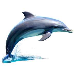 Leaping Dolphin Png 88 PNG image