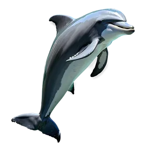 Leaping Dolphin Png Byd PNG image