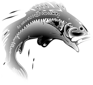 Leaping Fish Graphic PNG image