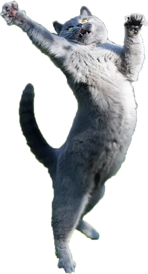 Leaping Grey Cat.png PNG image