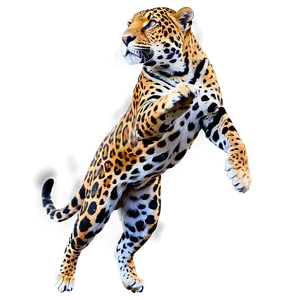 Leaping Jaguar PNG 46