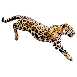 Leaping Jaguar Png 46 PNG image