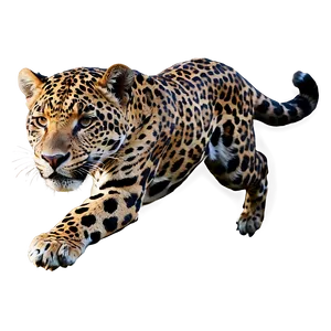 Leaping Jaguar Png Exs PNG image