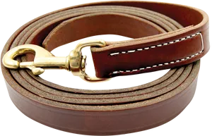 Leather Beltwith Gold Tone Hook Buckle PNG