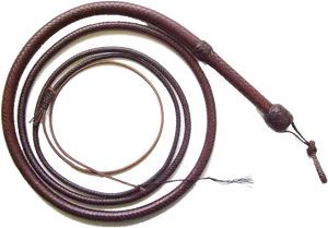 Leather Bullwhip Coiled PNG image