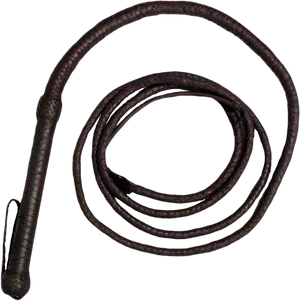 Leather Whip Coiled Isolated PNG image