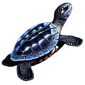 Leatherback Sea Turtle Hatchling Png Pcw PNG image