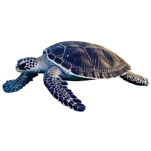 Leatherback Sea Turtle In Ocean PNG Mdv PNG