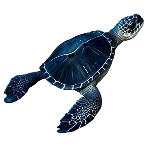 Leatherback Sea Turtle Png 44 PNG image