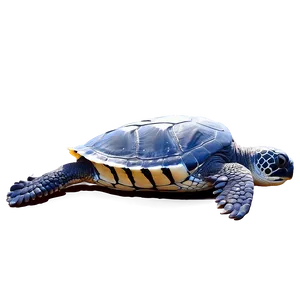 Leatherback Sea Turtle Png Twc PNG image
