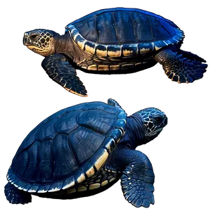 Leatherback Turtle Beach Walk PNG 10 PNG