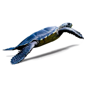 Leatherback Turtle Endangered Species PNG Idb PNG