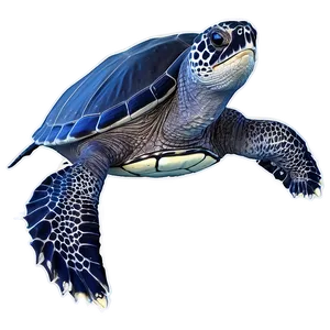Leatherback Turtle Global Journey PNG 06292024