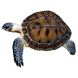 Leatherback Turtle Global Journey PNG 11 PNG