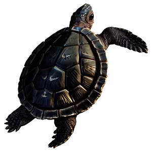 Leatherback Turtle Global Journey PNG 32