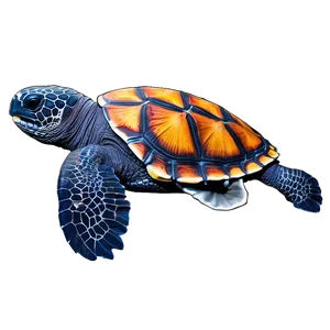 Leatherback Turtle Habitat Conservation PNG 06292024