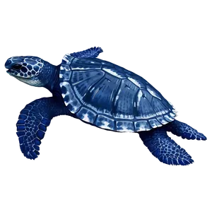 Leatherback Turtle In Deep Blue PNG 16 PNG