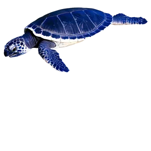 Leatherback Turtle In Deep Blue PNG Oga PNG