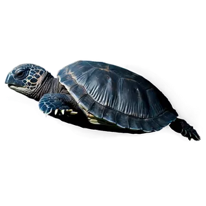 Leatherback Turtle In Moonlight PNG 94