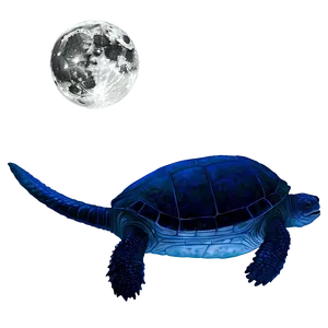 Leatherback Turtle In Moonlight PNG Nue3 PNG