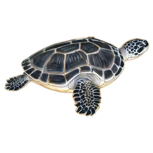 Leatherback Turtle In Seagrass PNG 06292024