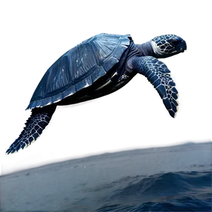 Leatherback Turtle Journey Across Oceans PNG 06292024 PNG