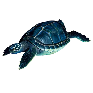 Leatherback Turtle Ocean Depths PNG 75 PNG