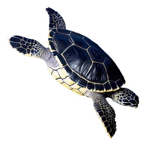 Leatherback Turtle Ocean Depths PNG Lfy PNG