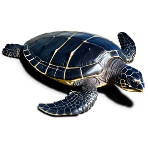 Leatherback Turtle Ocean Explorer PNG Sgm PNG