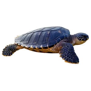 Leatherback Turtle Ocean Journey Png 66 PNG image