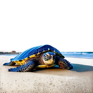 Leatherback Turtle On Beach Sunset Png 06292024 PNG image