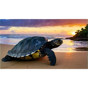 Leatherback Turtle On Beach Sunset Png Dxr PNG image