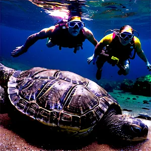 Leatherback Turtle Rescue Mission PNG 06292024 PNG