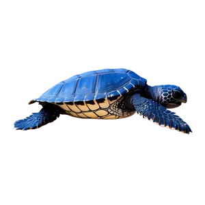 Leatherback Turtle Rescue Mission PNG Cfk20 PNG