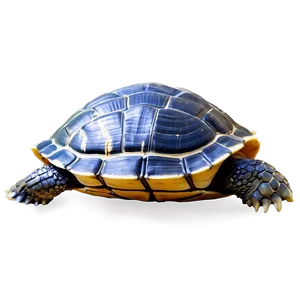Leatherback Turtle Shell Texture PNG 88 PNG
