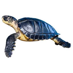 Leatherback Turtle Side View Png 06292024 PNG image