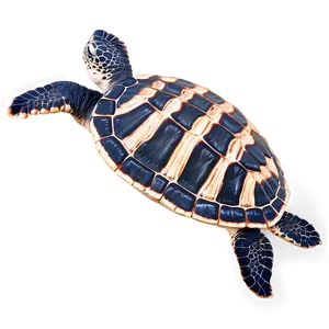 Leatherback Turtle Tracking PNG Dxx