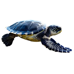 Leatherback Turtle Underwater Scene Png Akp29 PNG image