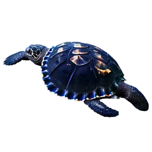 Leatherback Turtle With Jellyfish Png Irl95 PNG image